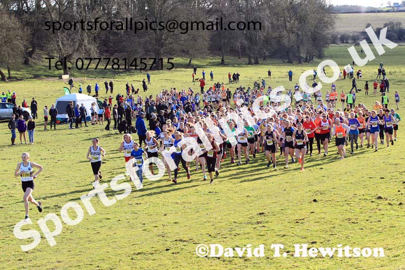 Senior womens 2023 NEHL, Thornley Farm, Peterlee, County Durham. Photo: David T. Hewitson/Sports for All Pics